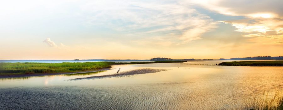 CLA Issues Comment on EPA Settlement Agreement Surrounding Law Suit Claiming EPA Must Ensure Chesapeake Bay Agreement Goals Met