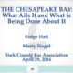 What Ails the Chesapeake