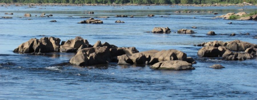 Impairment Listing of Lower Susquehanna River