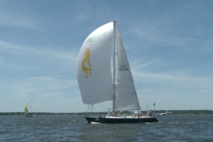 Strong Headwinds Face Water Quality Trading in the Chesapeake