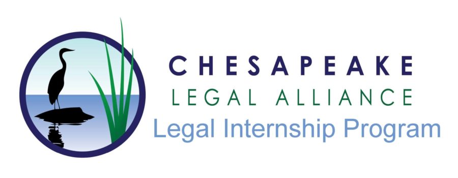 Meet the CLA 2020 Summer Legal Interns