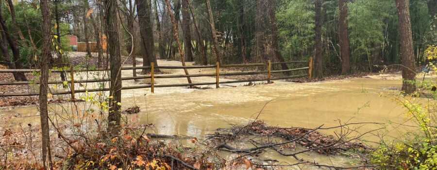 CLA Issues Report Card Assessing Maryland Counties’ Floodplain Protections
