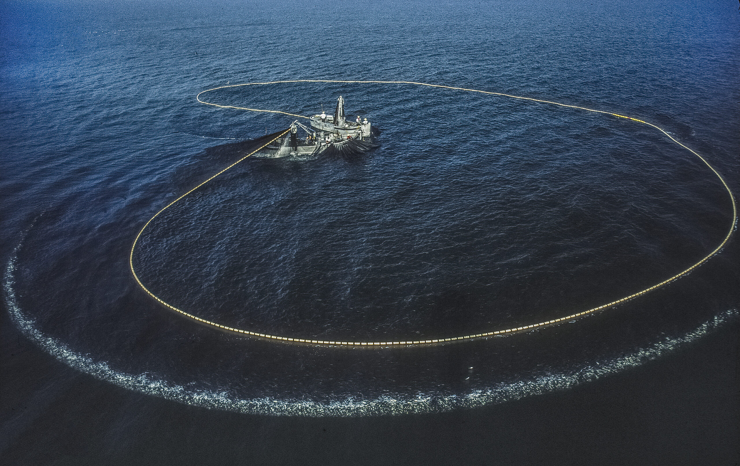 CLA Files Petition for Rulemaking in Menhaden Case – Chesapeake